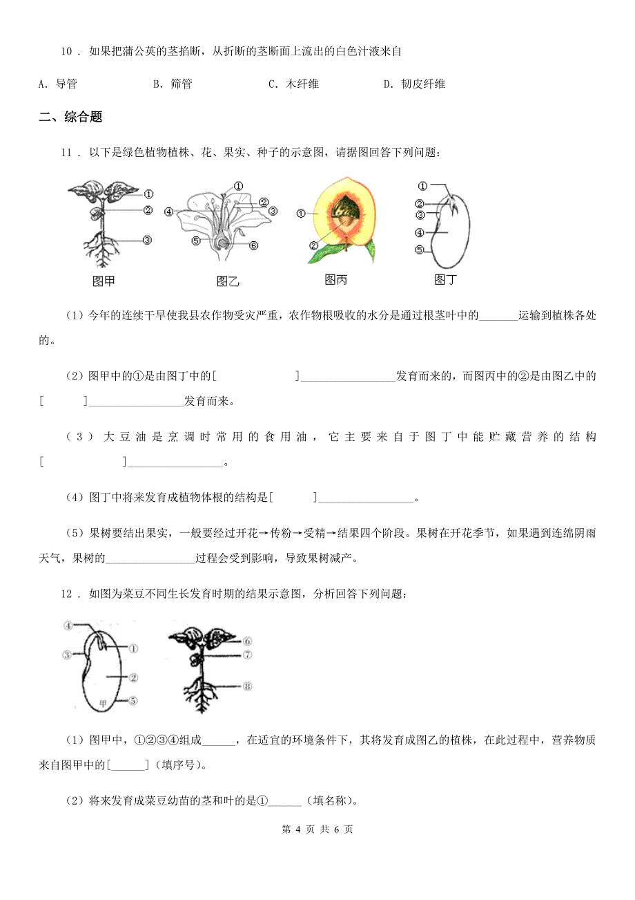 郑州市2019年生物八年级上册《4.1.6芽的类型和发育》测试题C卷_第4页