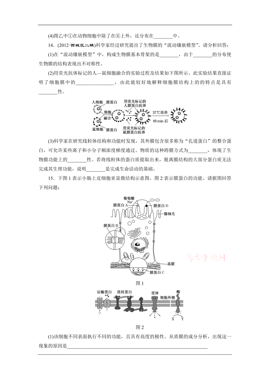 三维设计 高考一轮复习 生物(江西专版)课时跟踪检测 (36)_第4页