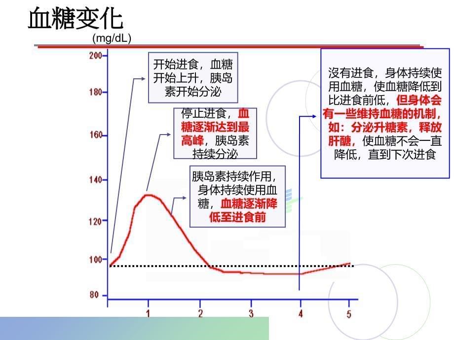 《胰岛素治疗护理》PPT课件_第5页