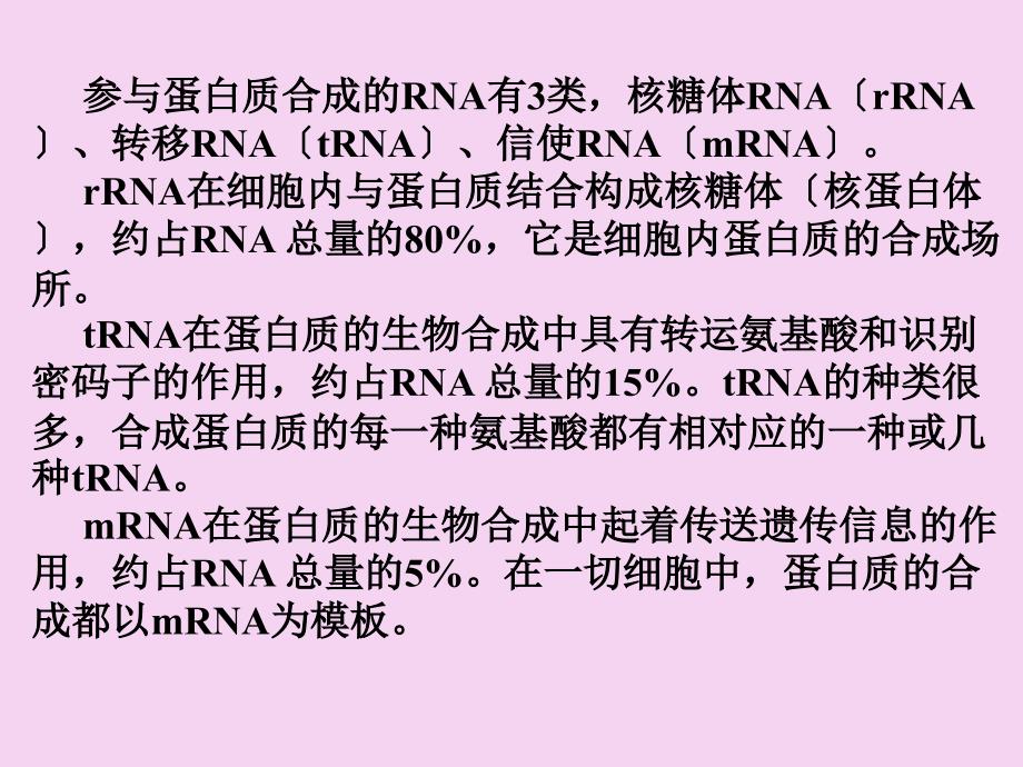 第六章核酸的化学ppt课件_第2页