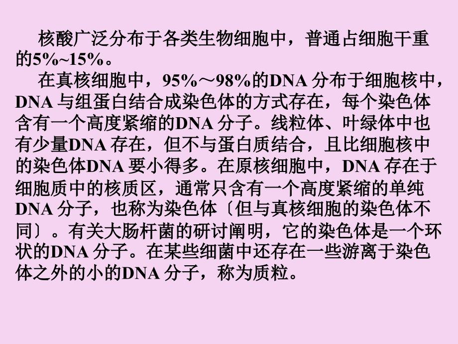 第六章核酸的化学ppt课件_第3页