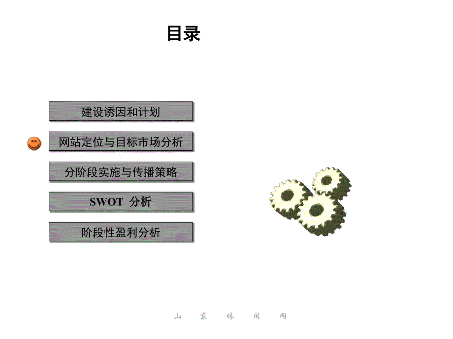 某某网建设与传播方案课件_第2页