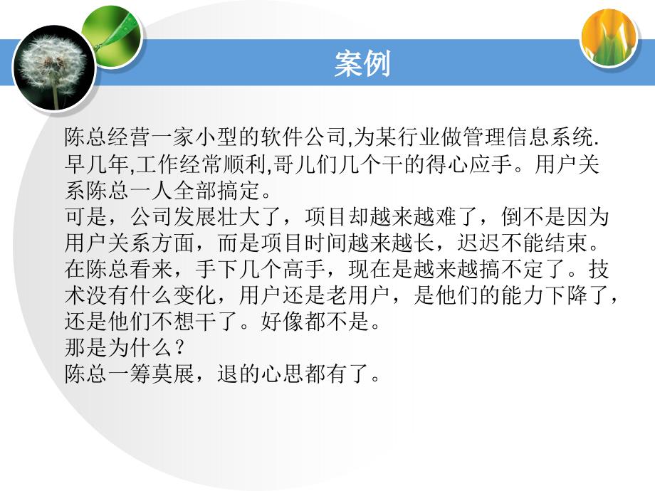 企业案例分析_第4页