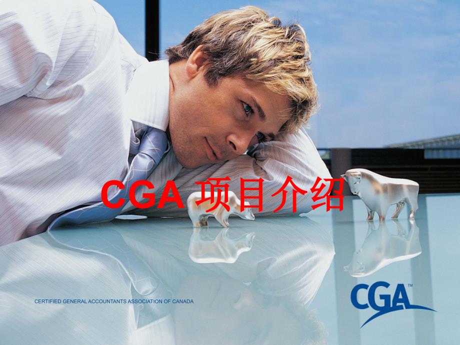CGA项目介绍PPT课件_第1页