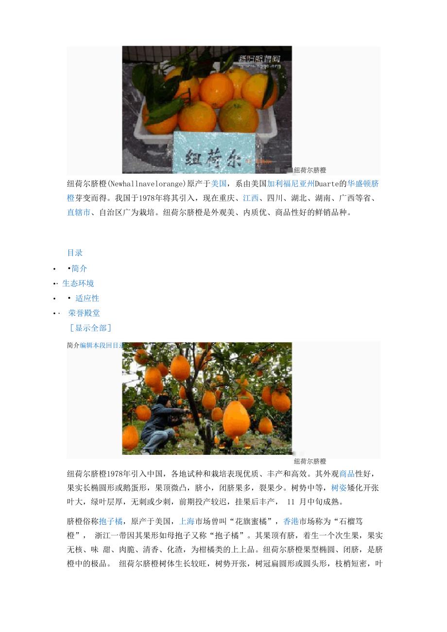 new hall脐橙的介绍_第1页