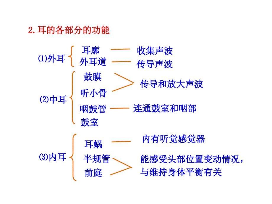 第12章 第三节感知信息(第二课时)(苏教版七年级下)_第5页