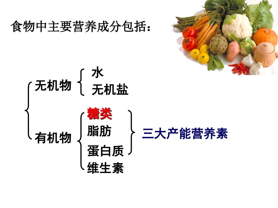 北师大初中生物会考复习七年级下册一ppt课件_第3页