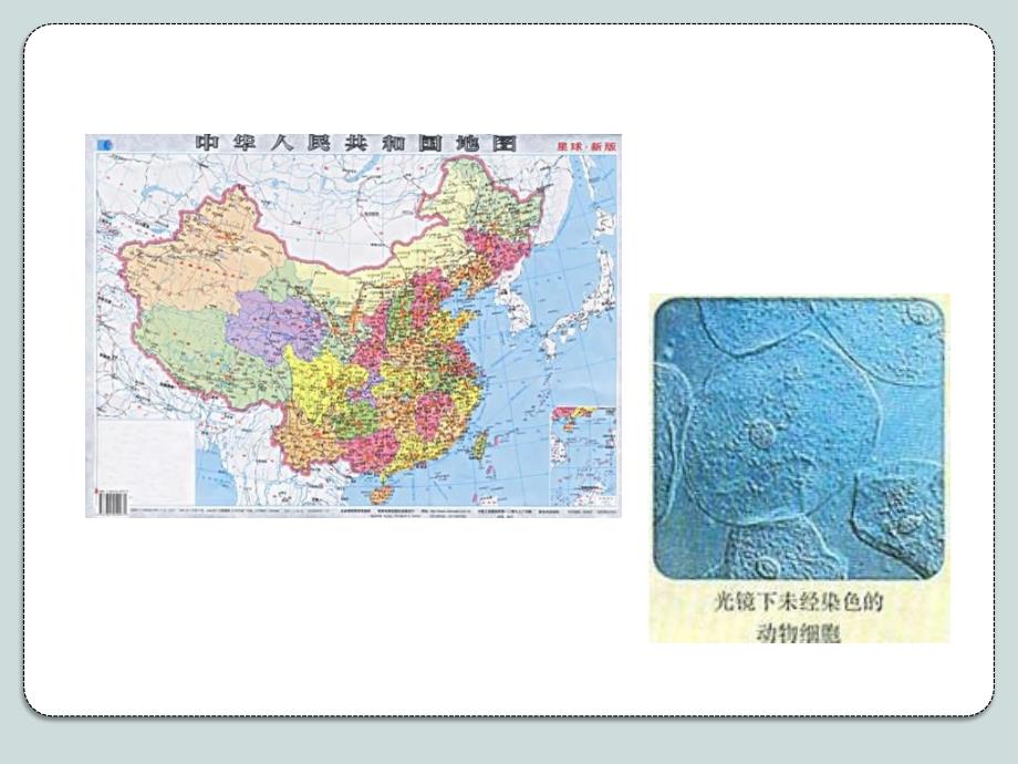 科学家用显微注射器将一种叫做伊红的物质注入变形虫体内,_第2页