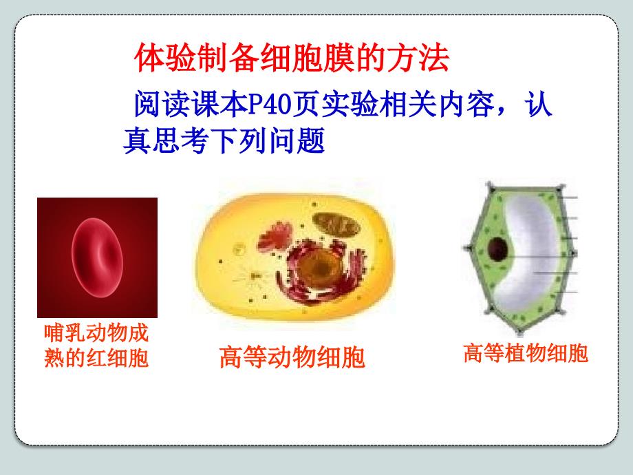 科学家用显微注射器将一种叫做伊红的物质注入变形虫体内,_第4页