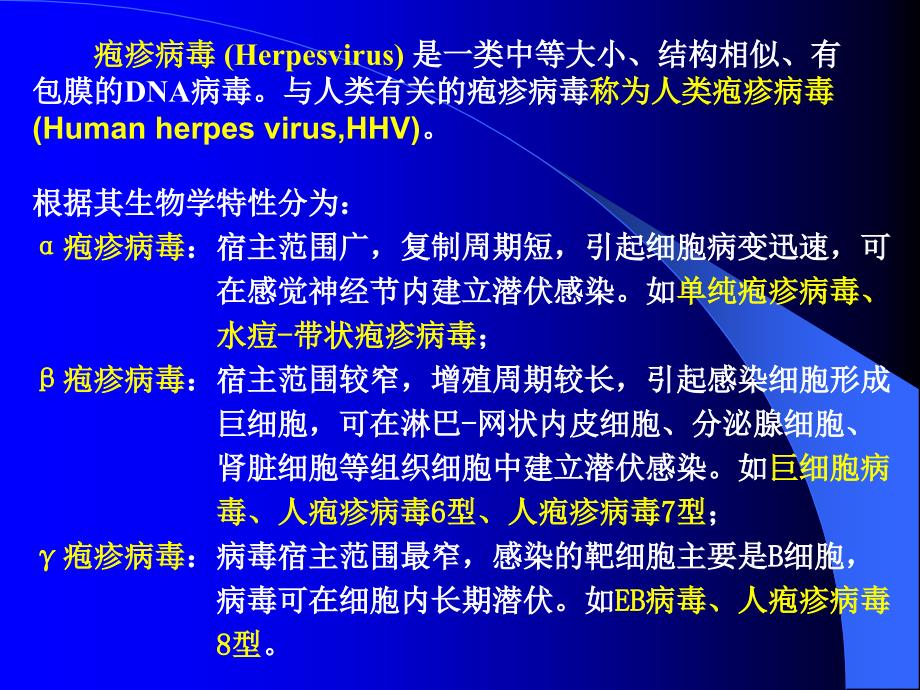 人类疱疹病毒_第2页