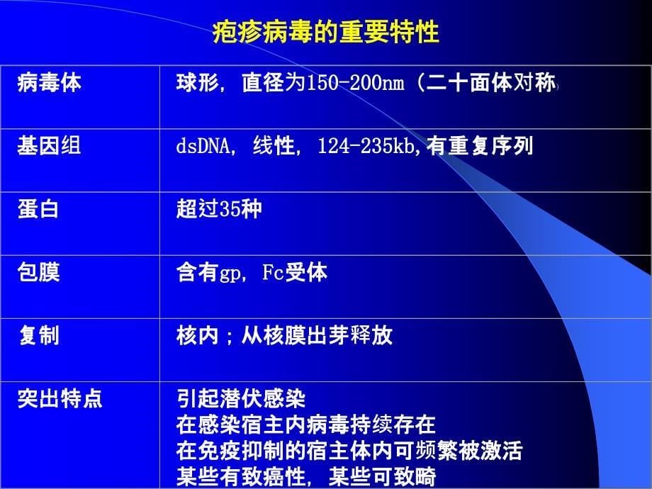 人类疱疹病毒_第5页