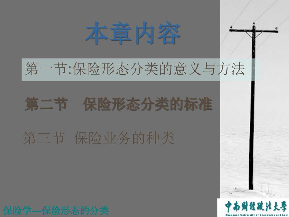 教学课件第五章保险形态的分类_第2页