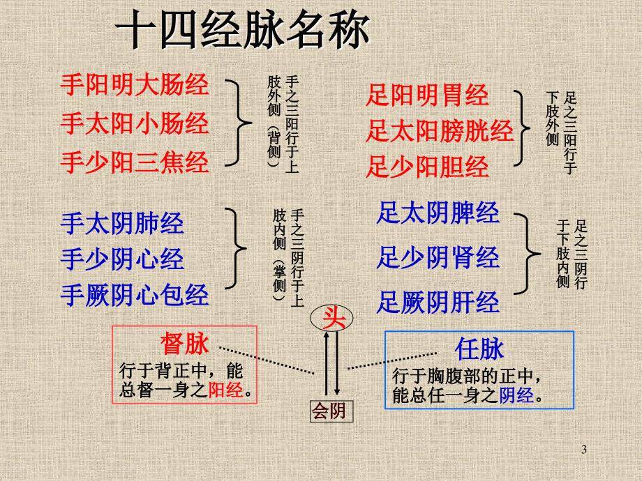 中医,经络养生,35_第3页