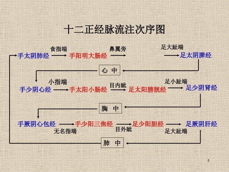 中医,经络养生,35_第5页