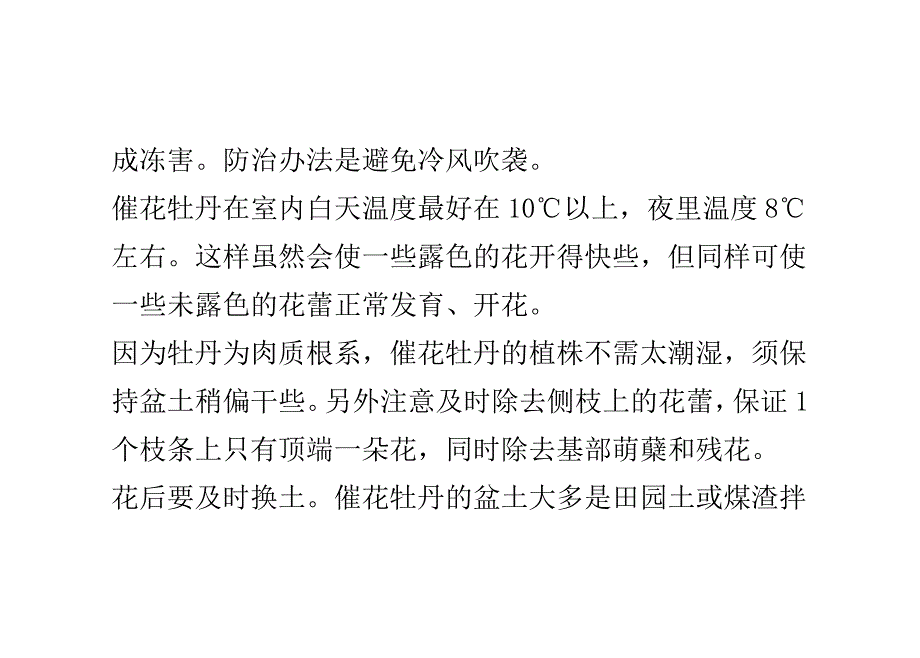 催花牡丹室内管理.doc_第4页