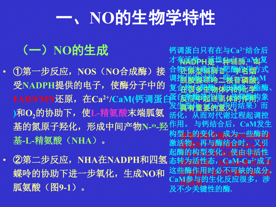 一氧化氮生物系统及其药理作用.ppt_第3页