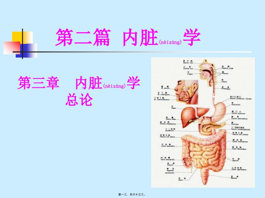 医学专题一6--内脏学-消化_第1页