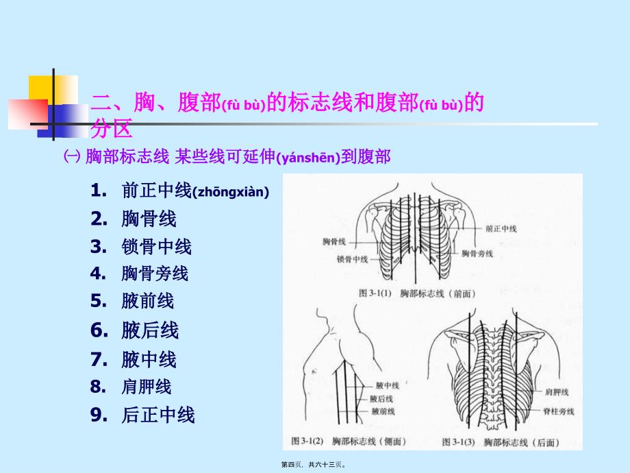 医学专题一6--内脏学-消化_第4页