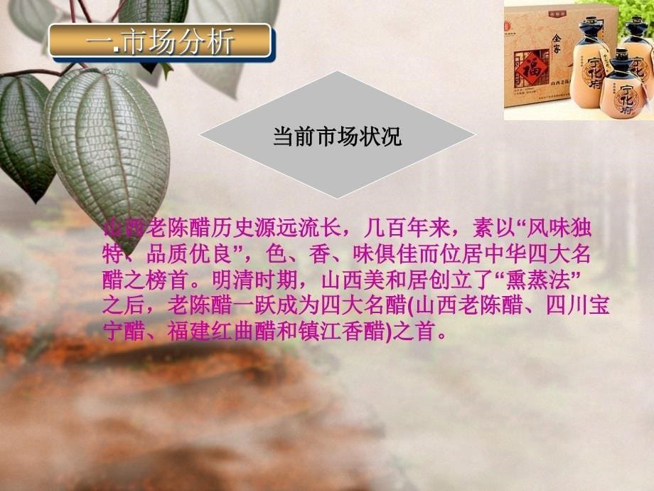 宁化府营销策划案课件_第5页