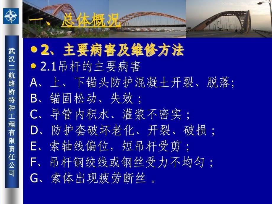 6吊杆更换及系杆维护施工技术chts_第5页