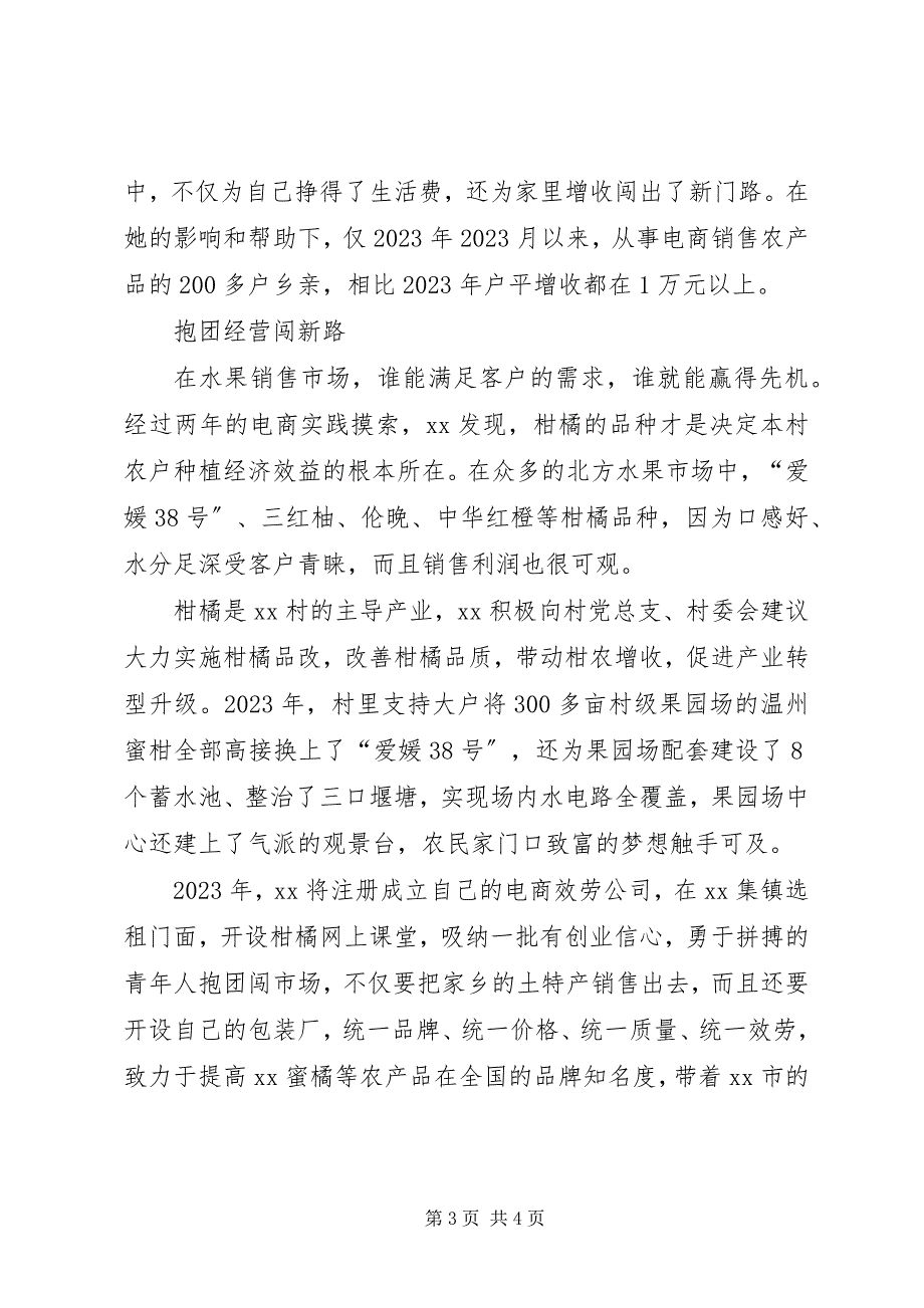 2023年优秀党总支委员事迹.docx_第3页