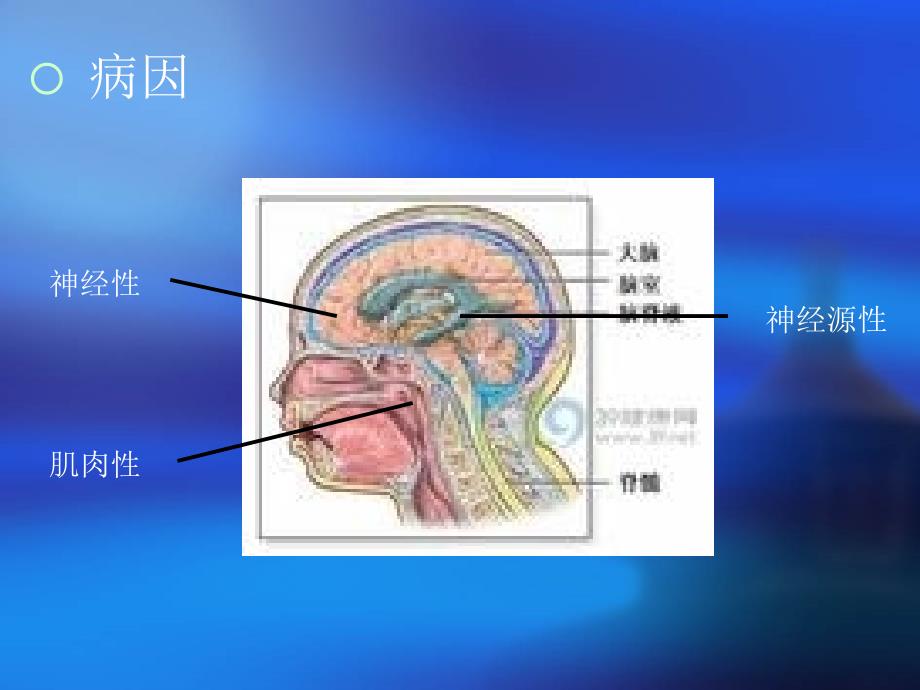 吞咽障碍的康复评定与治疗(患教版)_第4页