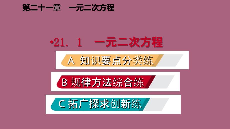 人教版九年级数学上册21.1一元二次方程作业本ppt课件_第2页