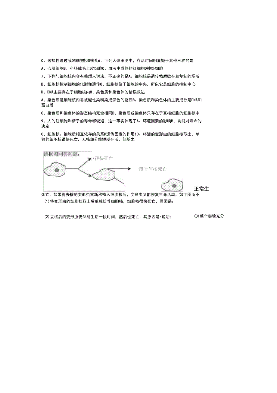 细胞核学案(上课)_第4页