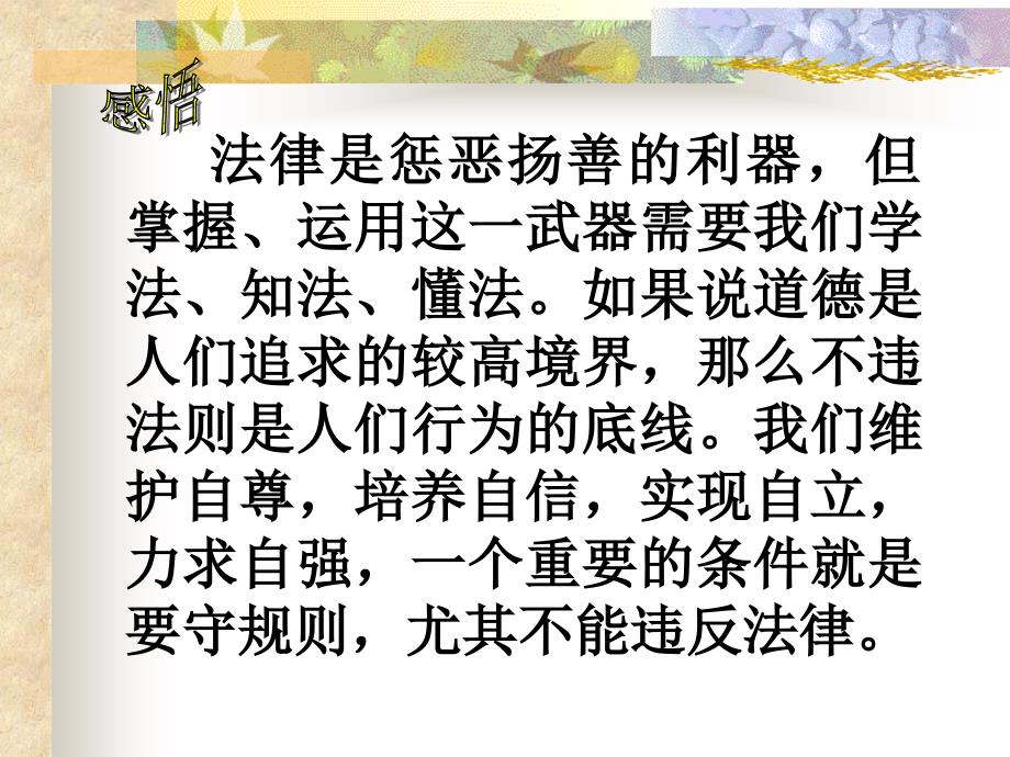 初中一年级思想品德下册第四单元做知法守法用法的人第七课感受法律的尊严第一课时课件_第3页