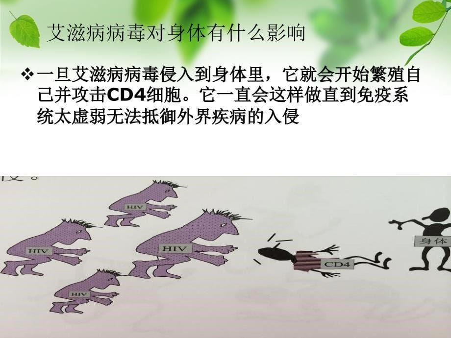 艾滋病母婴阻断_第5页