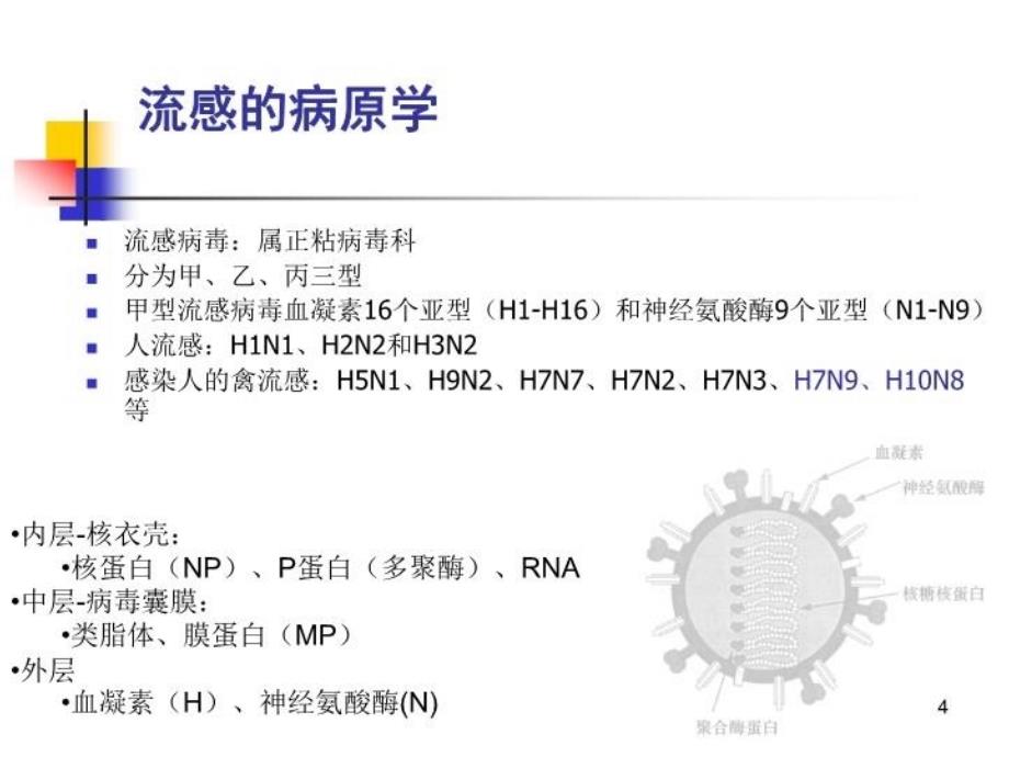 人感染H7N9禽流感诊疗_第4页