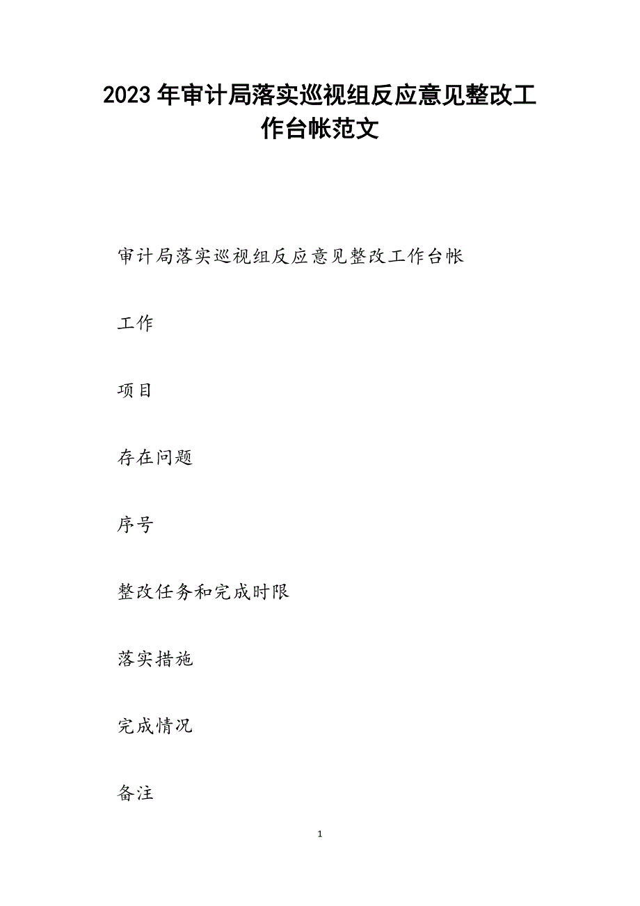 2023年审计局落实巡视组反馈意见整改工作台帐.docx_第1页