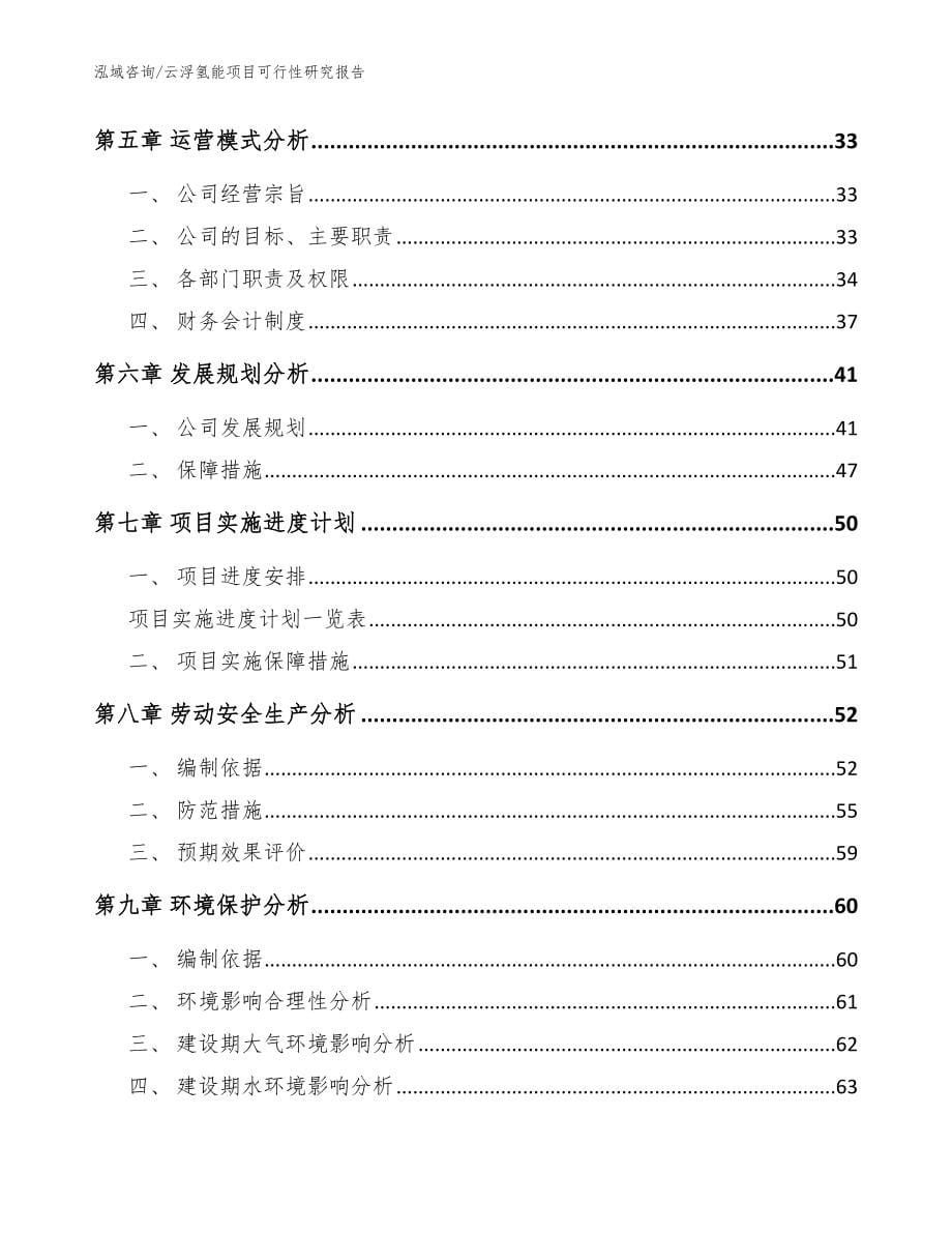 云浮氢能项目可行性研究报告范文参考_第5页