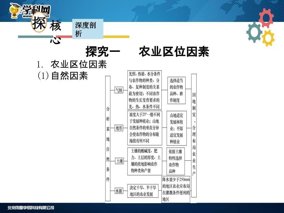 第八章区域产业活动第二节农业区位因素与农业地域类型_第5页