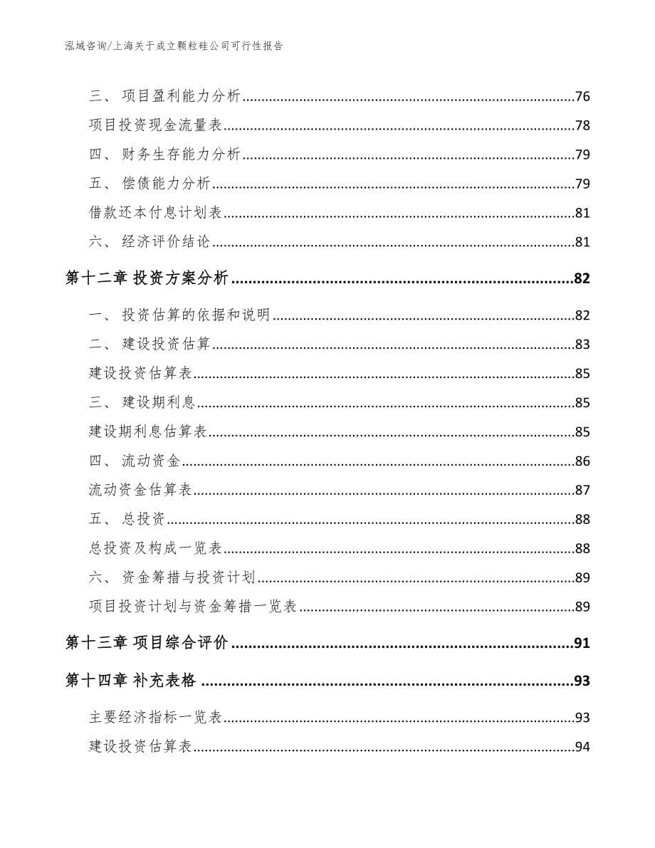 上海关于成立颗粒硅公司可行性报告_第5页