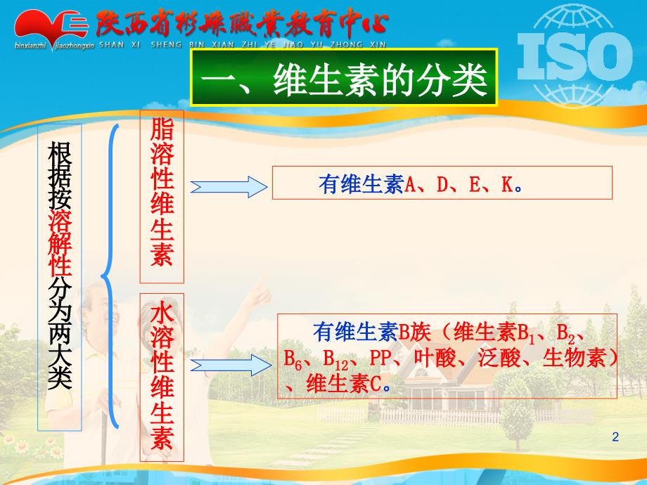 水溶性维生素1_第2页