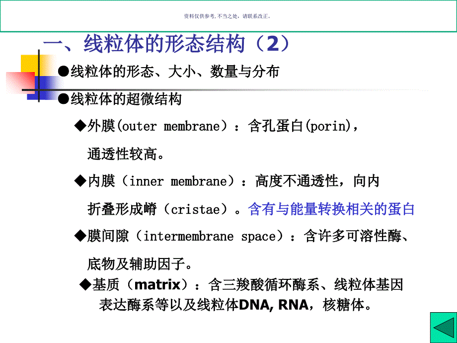 细胞的能量转换线粒体和叶绿体课件_第3页