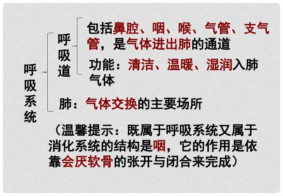 中考生物总复习 第九章 人的生活需要空气基础梳理课件 济南版_第3页