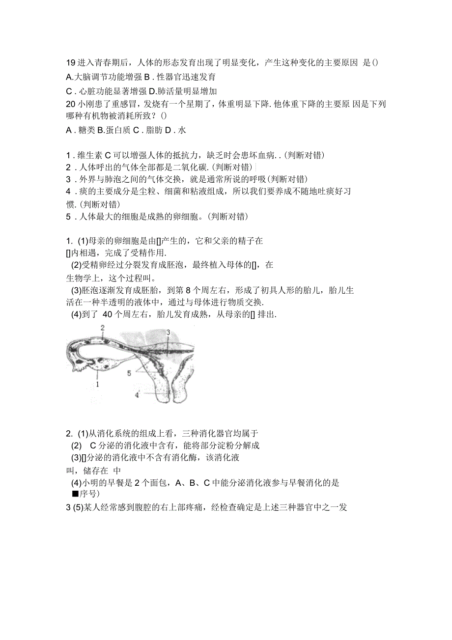 七年级上册生物期中复习题(鲁教版)讲课讲稿_第3页