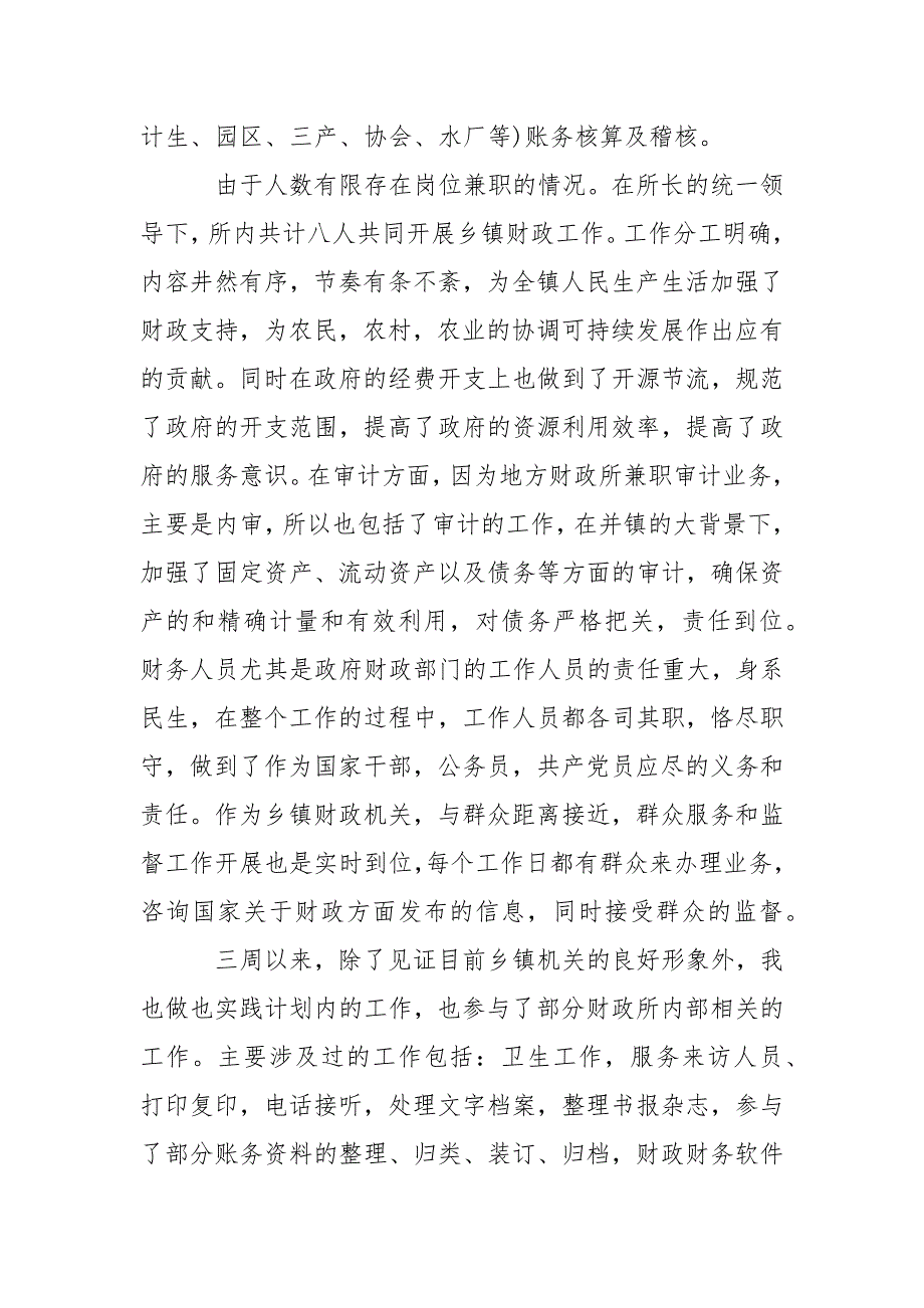 2021财政局实践报告字_第3页