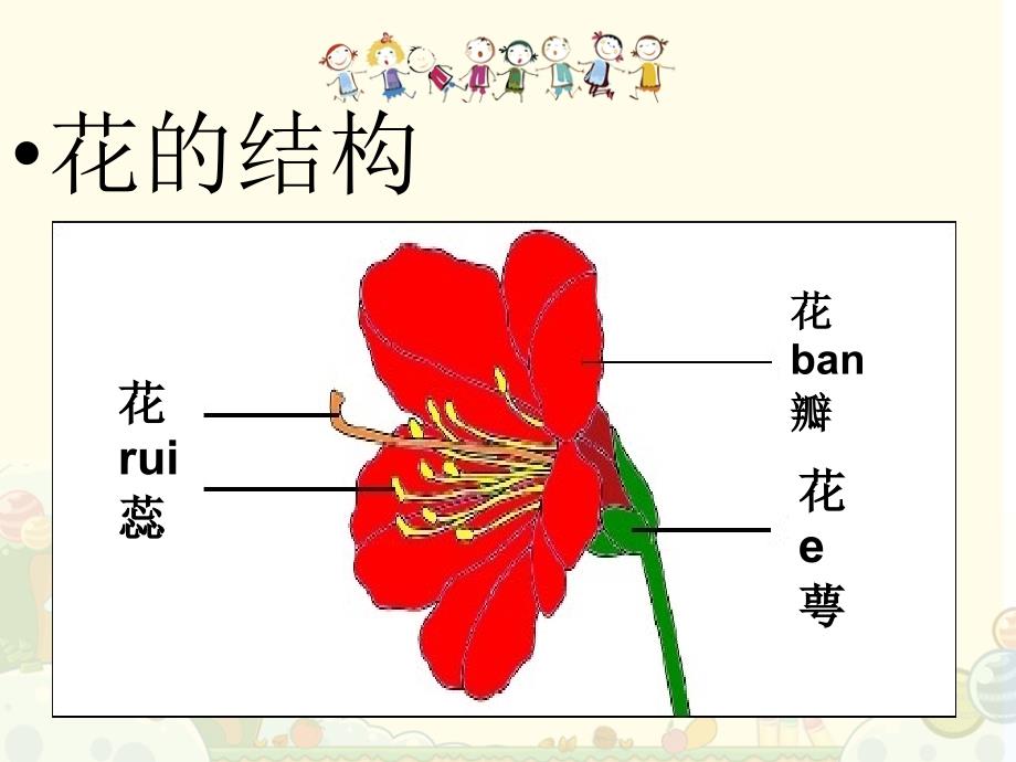 幼儿园教学-花的世界.ppt_第4页