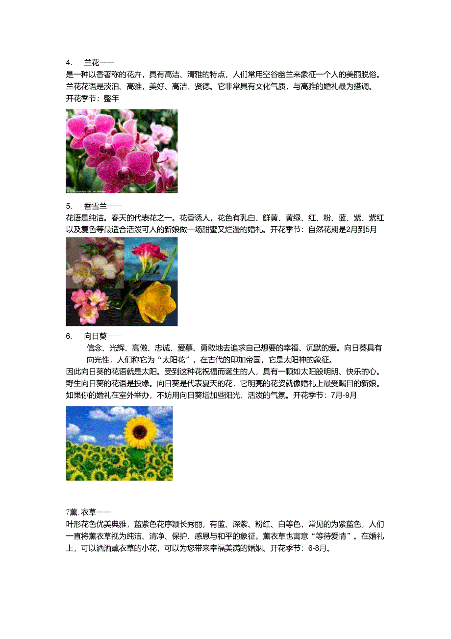 婚礼常用花材及花语(普菲特整理)_第2页