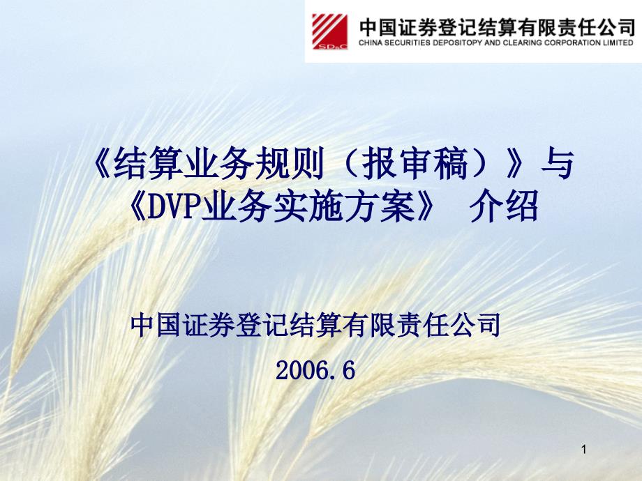 结算业务规则报审稿与DVP业务实施方案介绍_第1页