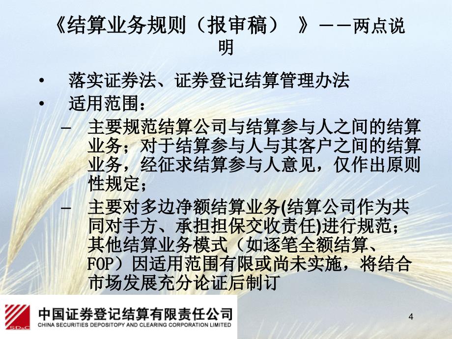 结算业务规则报审稿与DVP业务实施方案介绍_第4页