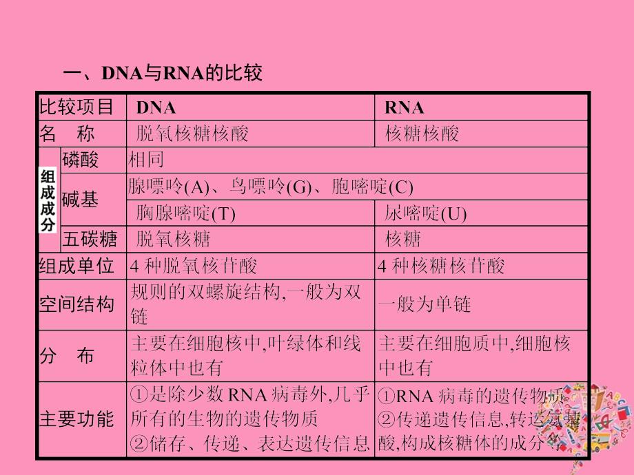 高中生物第4章基因的表达本章整合课件新人教版必修2_第3页