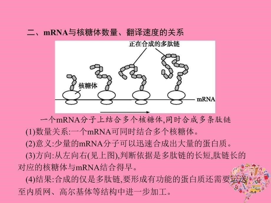 高中生物第4章基因的表达本章整合课件新人教版必修2_第5页