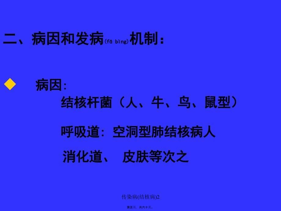 传染病结核病2课件_第5页