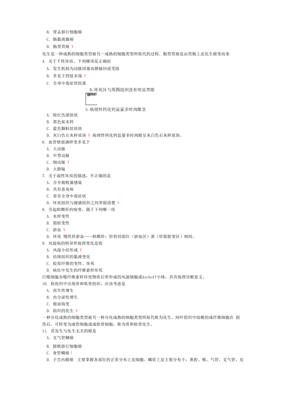 西医综合(病理学)模拟试卷98_第2页