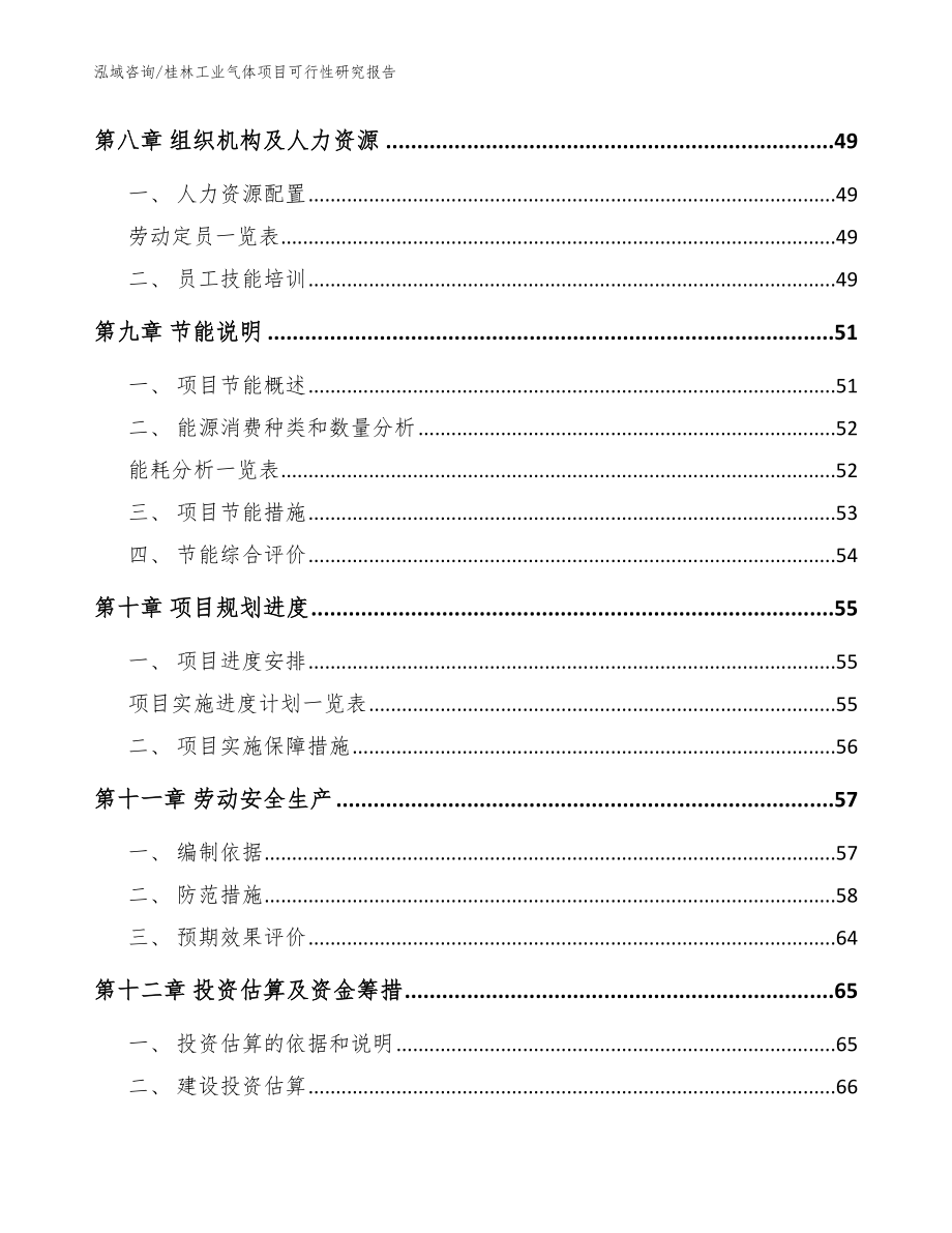 桂林工业气体项目可行性研究报告参考模板_第4页