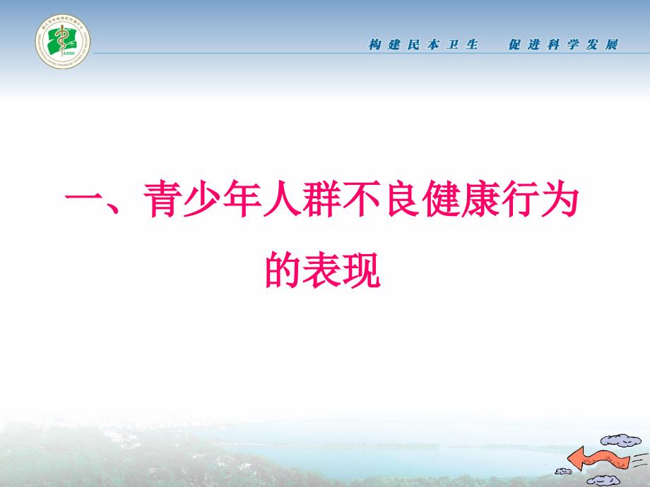 浙江省疾控中心健康教育所杨清二〇一〇年十月二十六日_第3页